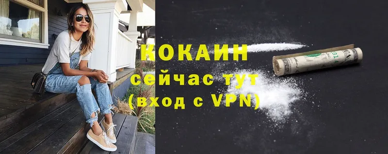 как найти наркотики  Шагонар  Cocaine Перу 